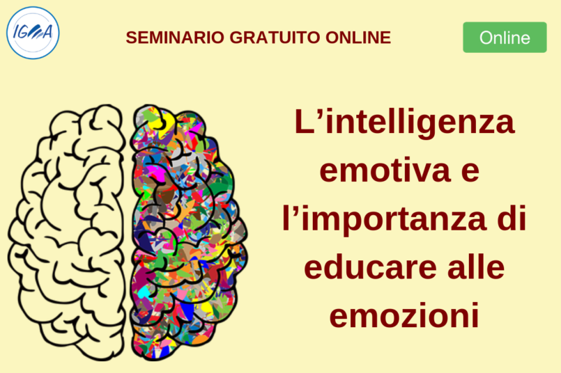 Lintelligenza emotiva e limportanza di educare alle emozioni 805x536 c